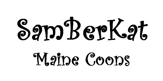 Samberkat Maine Coons